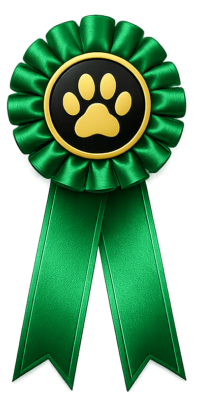 Emerald ribbon VIP Support