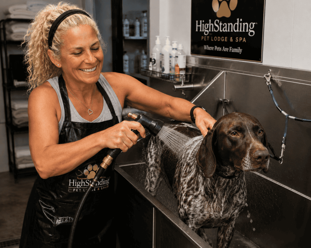 Professional dog grooming representing more than 30 years of canine industry experience